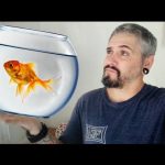 Le hago caso a mis suscriptores y ÉSTO FUE LO QUE PASÓ! 😱